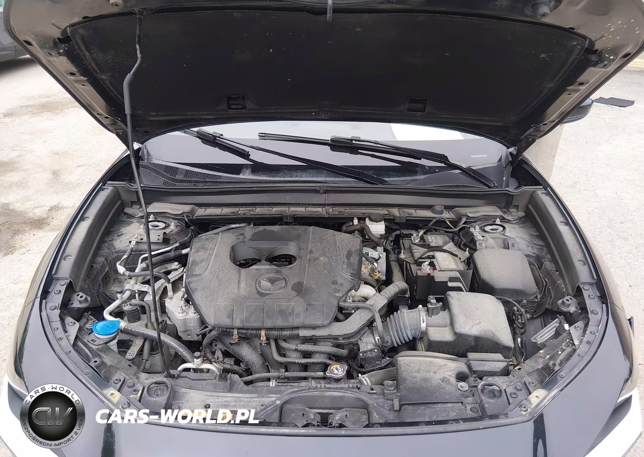 2023 Mazda Cx-30 2.5 S Premium VIN:3MVDMBDM5PM546300 - 10