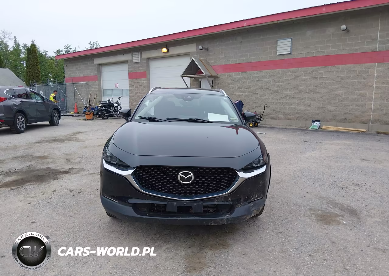 2023 Mazda Cx-30 2.5 S Premium VIN:3MVDMBDM5PM546300 - 12