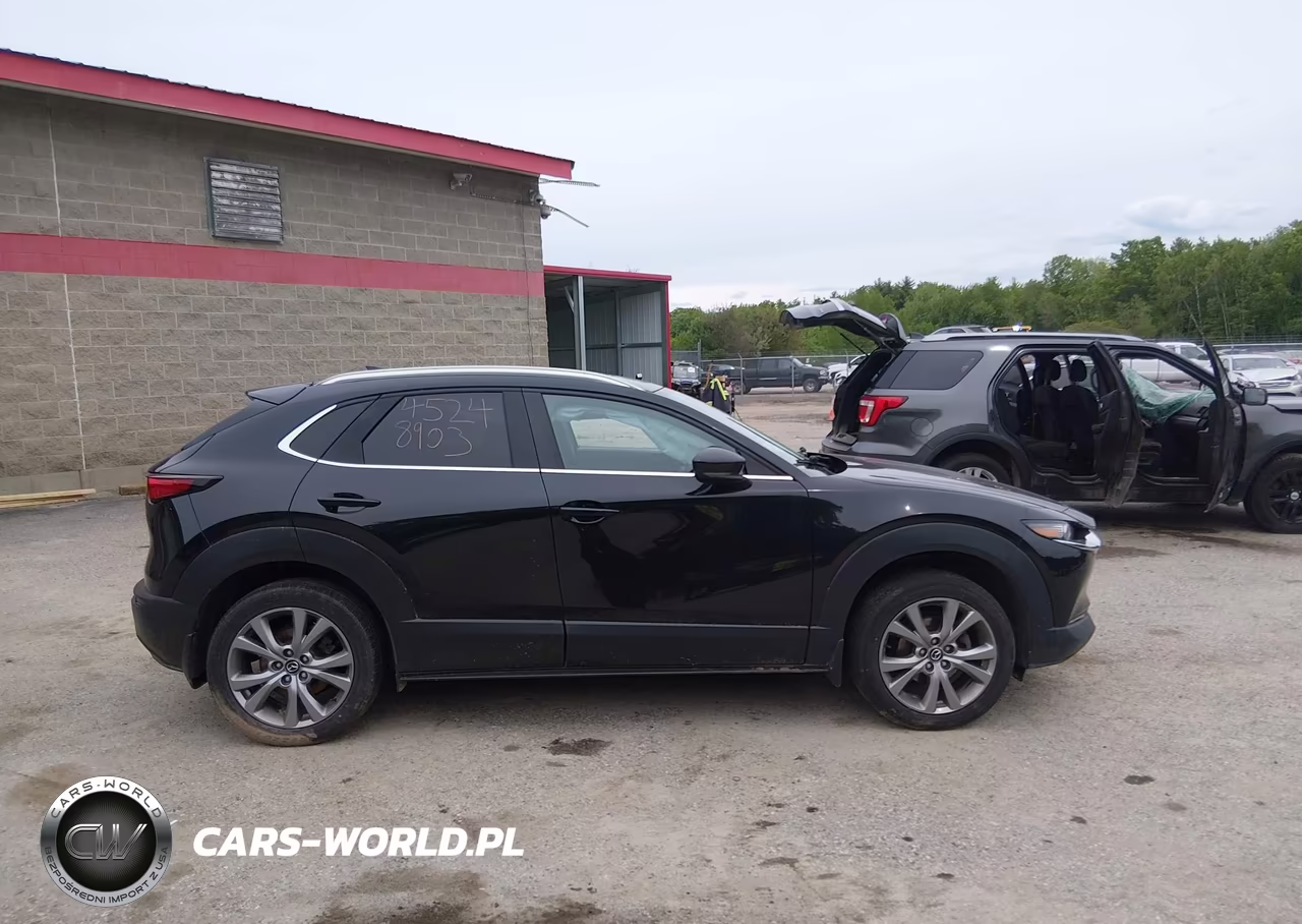 2023 Mazda Cx-30 2.5 S Premium VIN:3MVDMBDM5PM546300 - 13