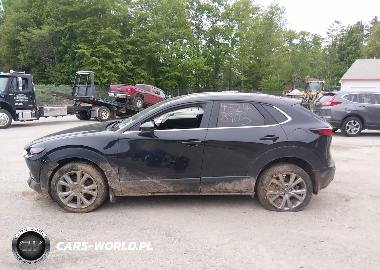 2023 Mazda Cx-30 2.5 S Premium VIN:3MVDMBDM5PM546300 - 14