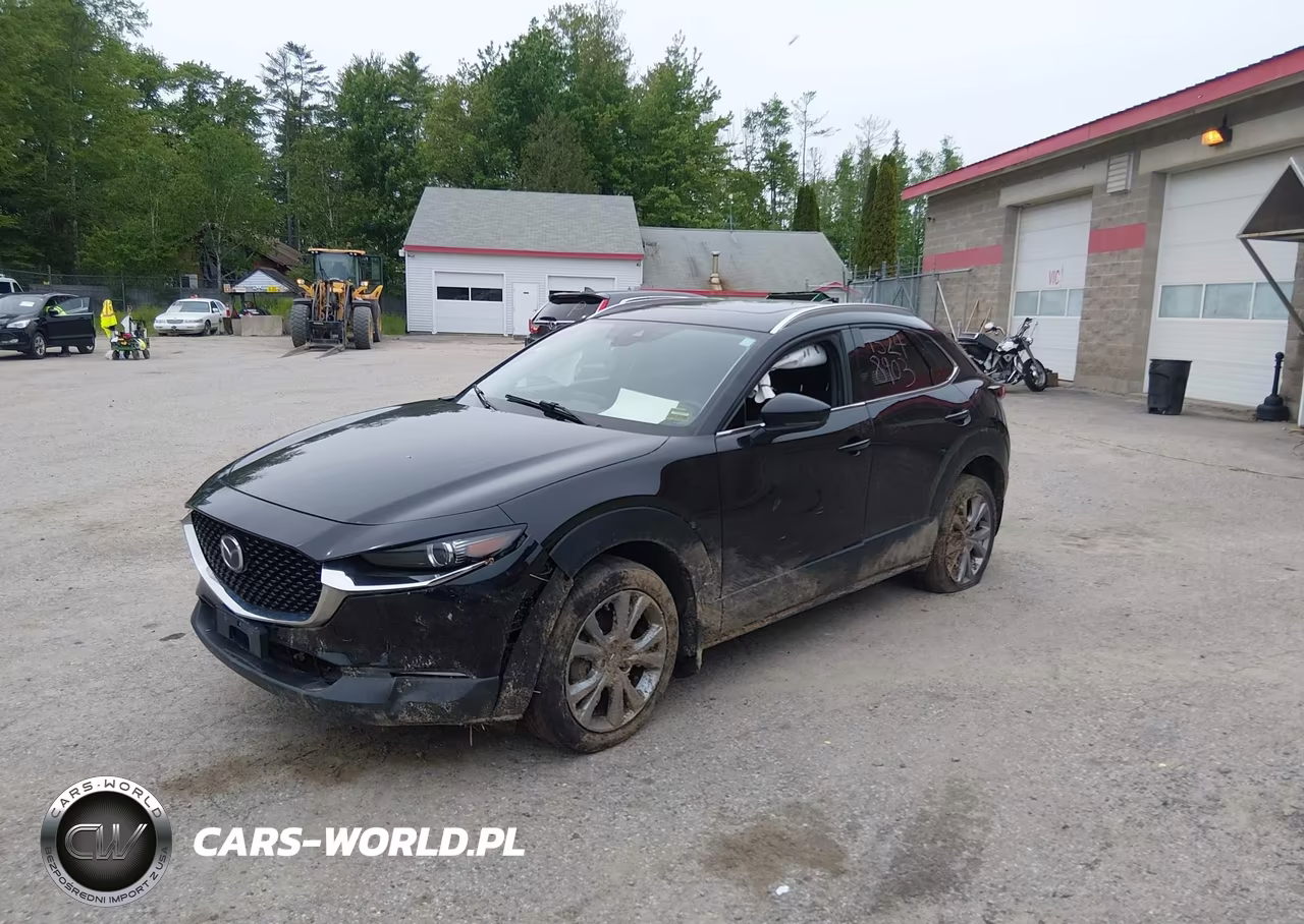 2023 Mazda Cx-30 2.5 S Premium VIN:3MVDMBDM5PM546300 - 2