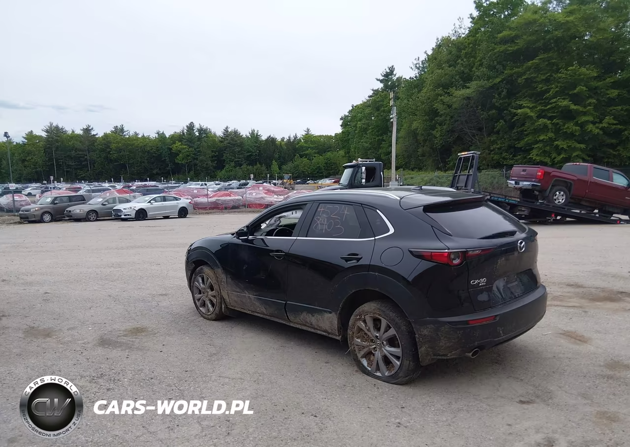 2023 Mazda Cx-30 2.5 S Premium VIN:3MVDMBDM5PM546300 - 3