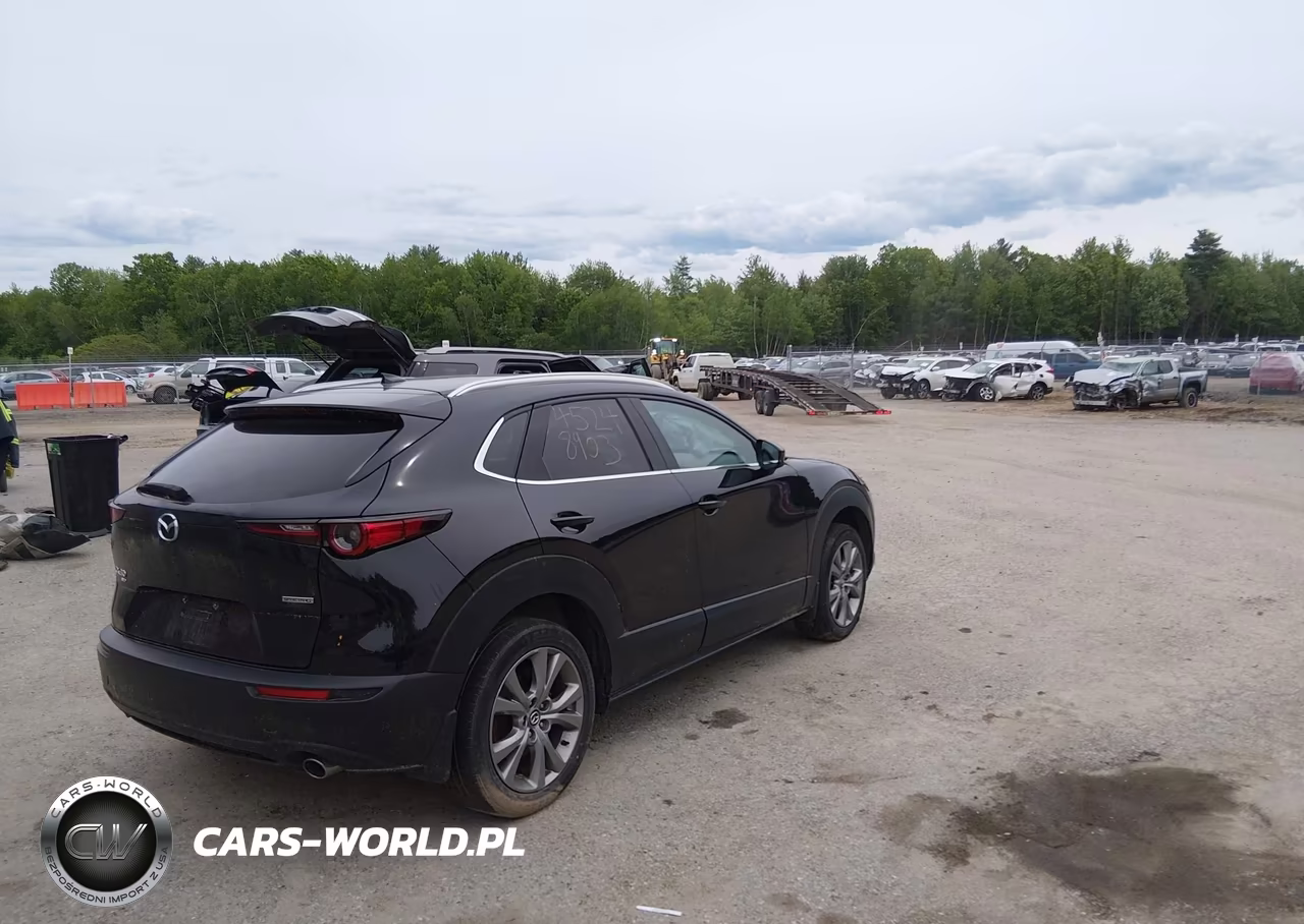 2023 Mazda Cx-30 2.5 S Premium VIN:3MVDMBDM5PM546300 - 4