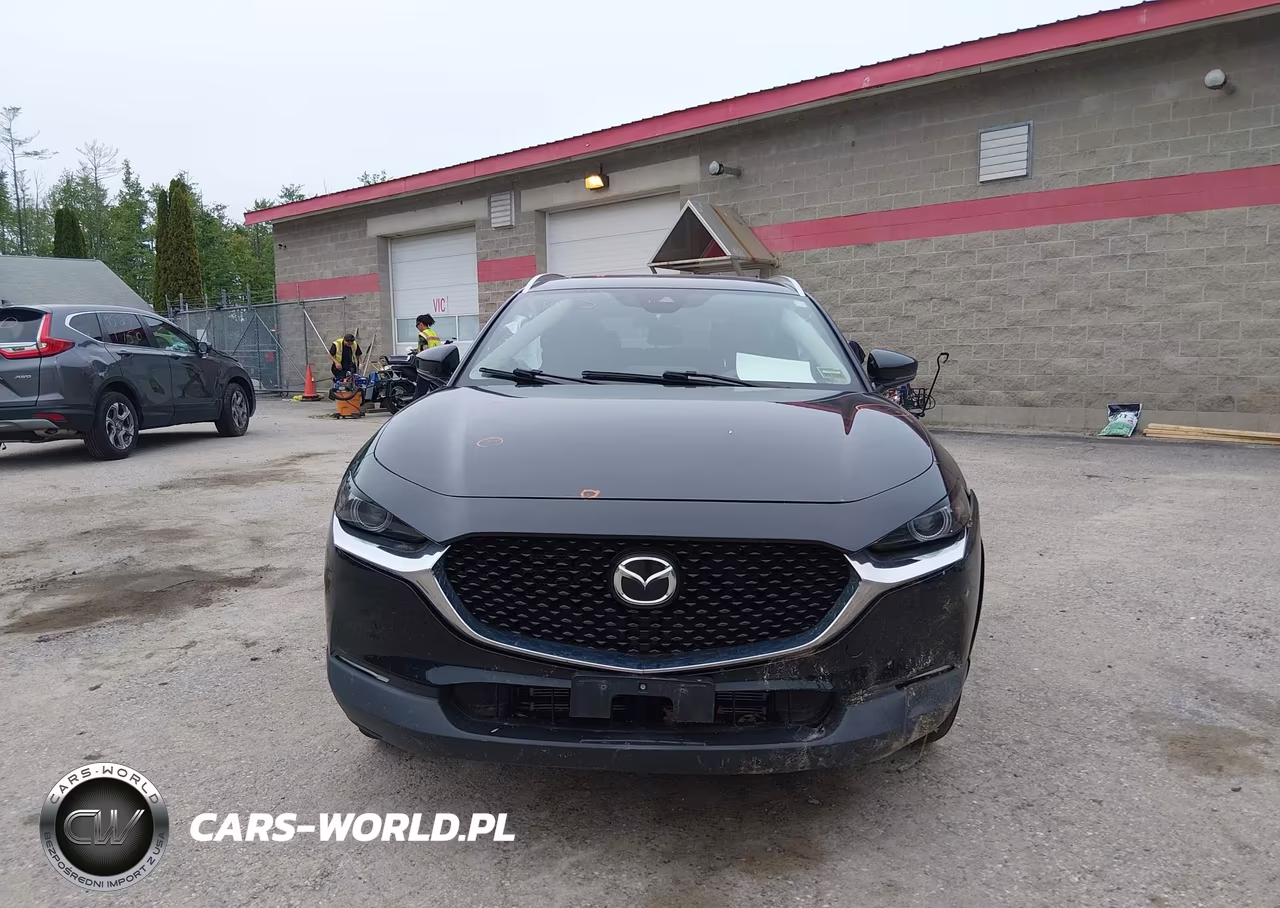 2023 Mazda Cx-30 2.5 S Premium VIN:3MVDMBDM5PM546300 - 6