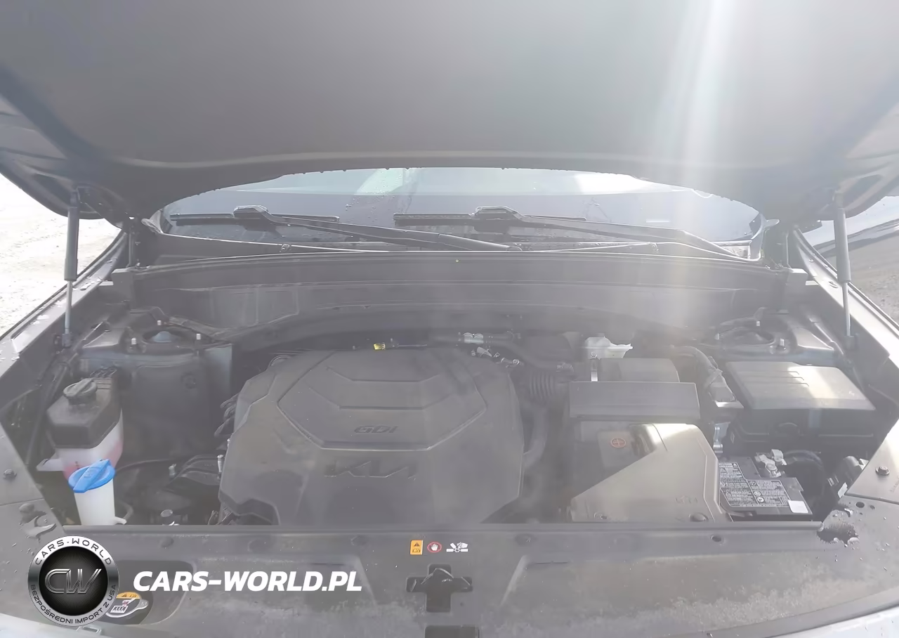 2023 Kia Telluride Ex X-Line VIN:5XYP3DGC8PG330700 - 10