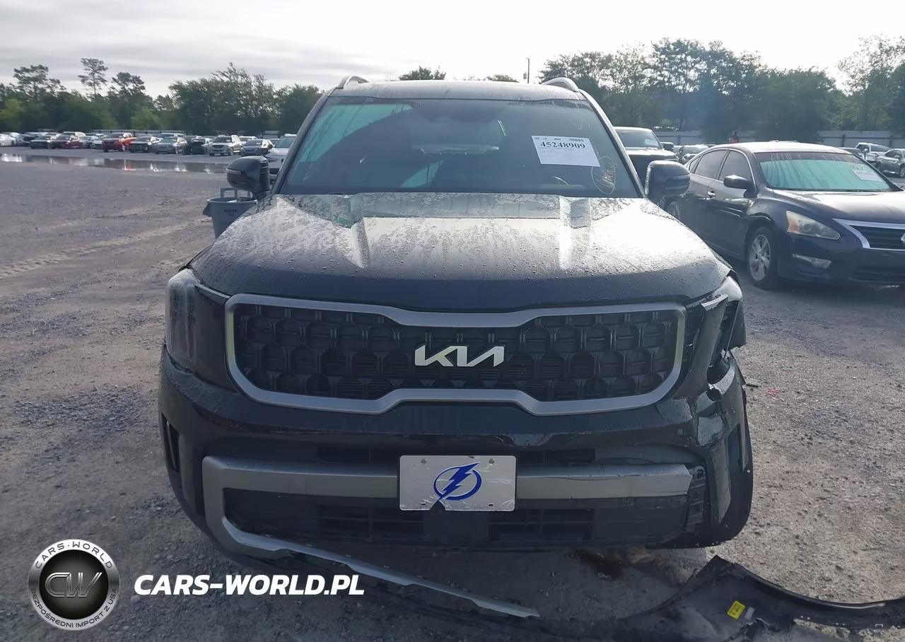 2023 Kia Telluride Ex X-Line VIN:5XYP3DGC8PG330700 - 12