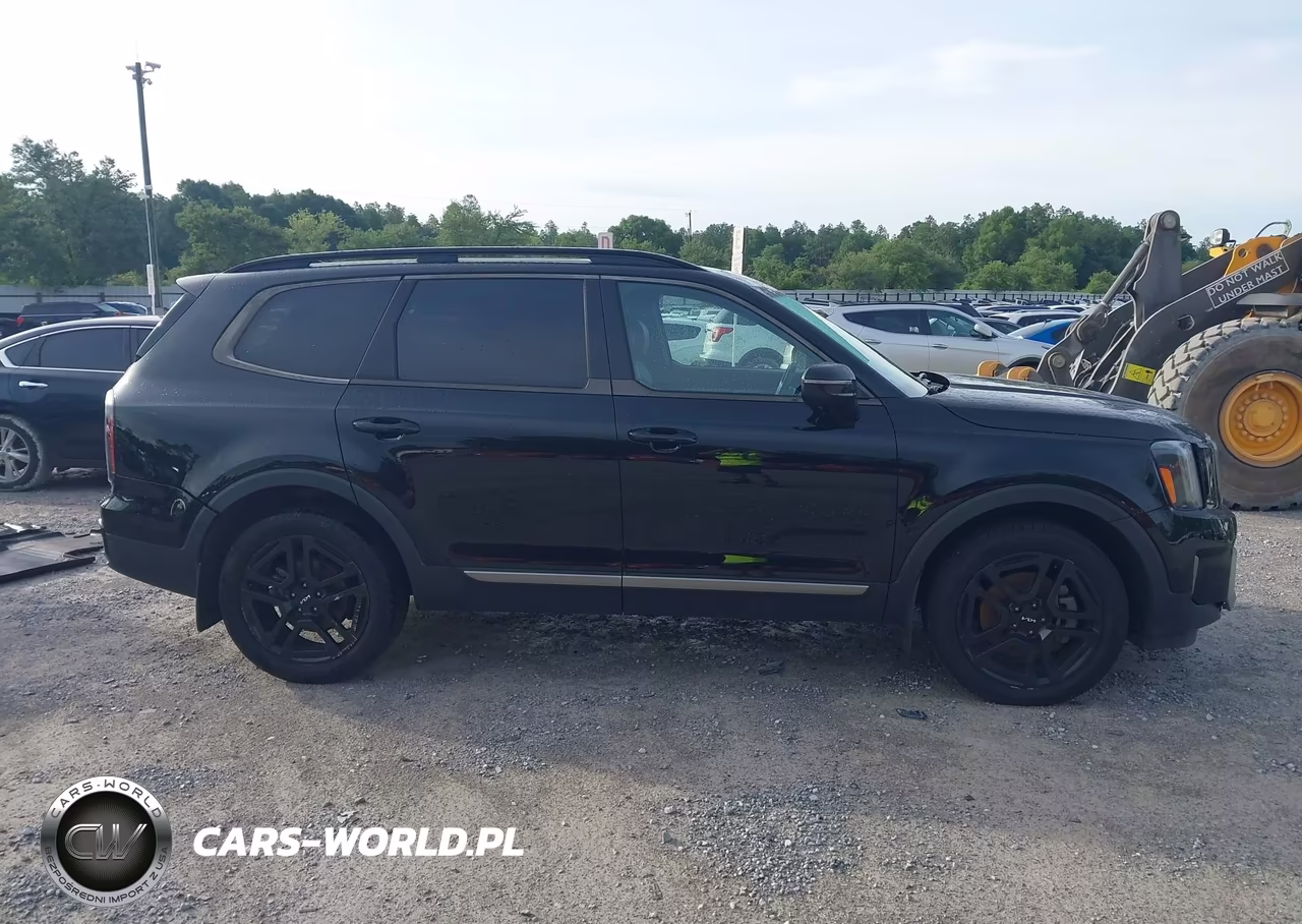 2023 Kia Telluride Ex X-Line VIN:5XYP3DGC8PG330700 - 13