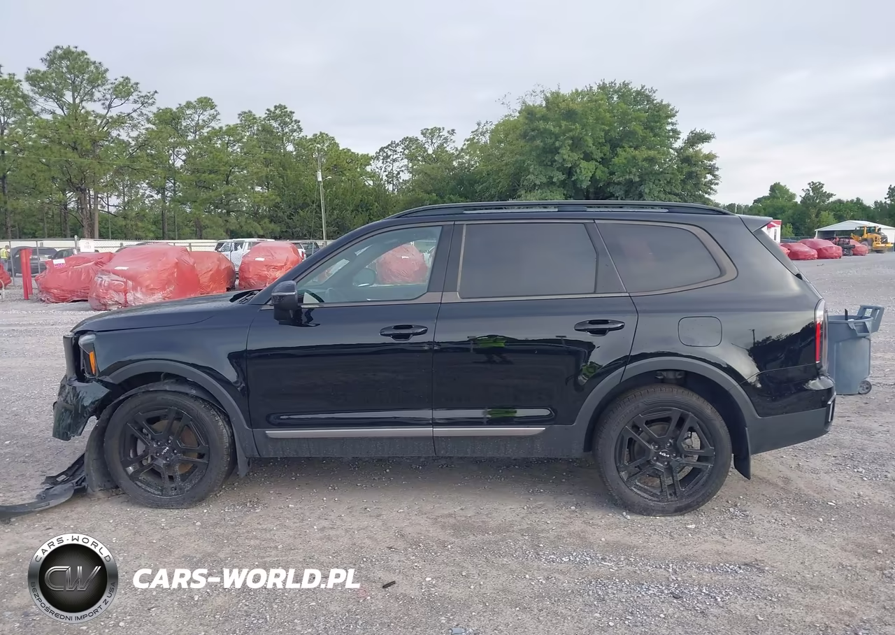 2023 Kia Telluride Ex X-Line VIN:5XYP3DGC8PG330700 - 14
