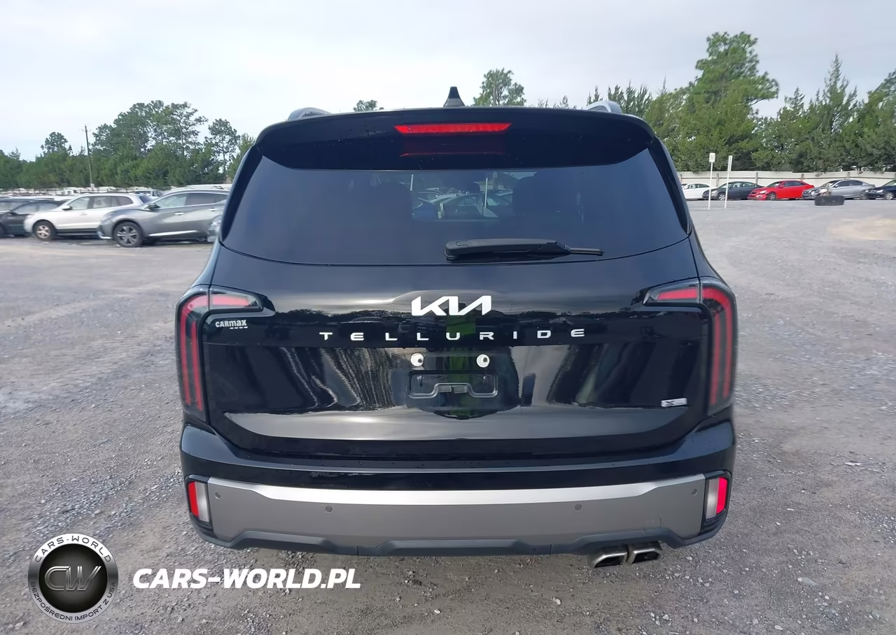 2023 Kia Telluride Ex X-Line VIN:5XYP3DGC8PG330700 - 16