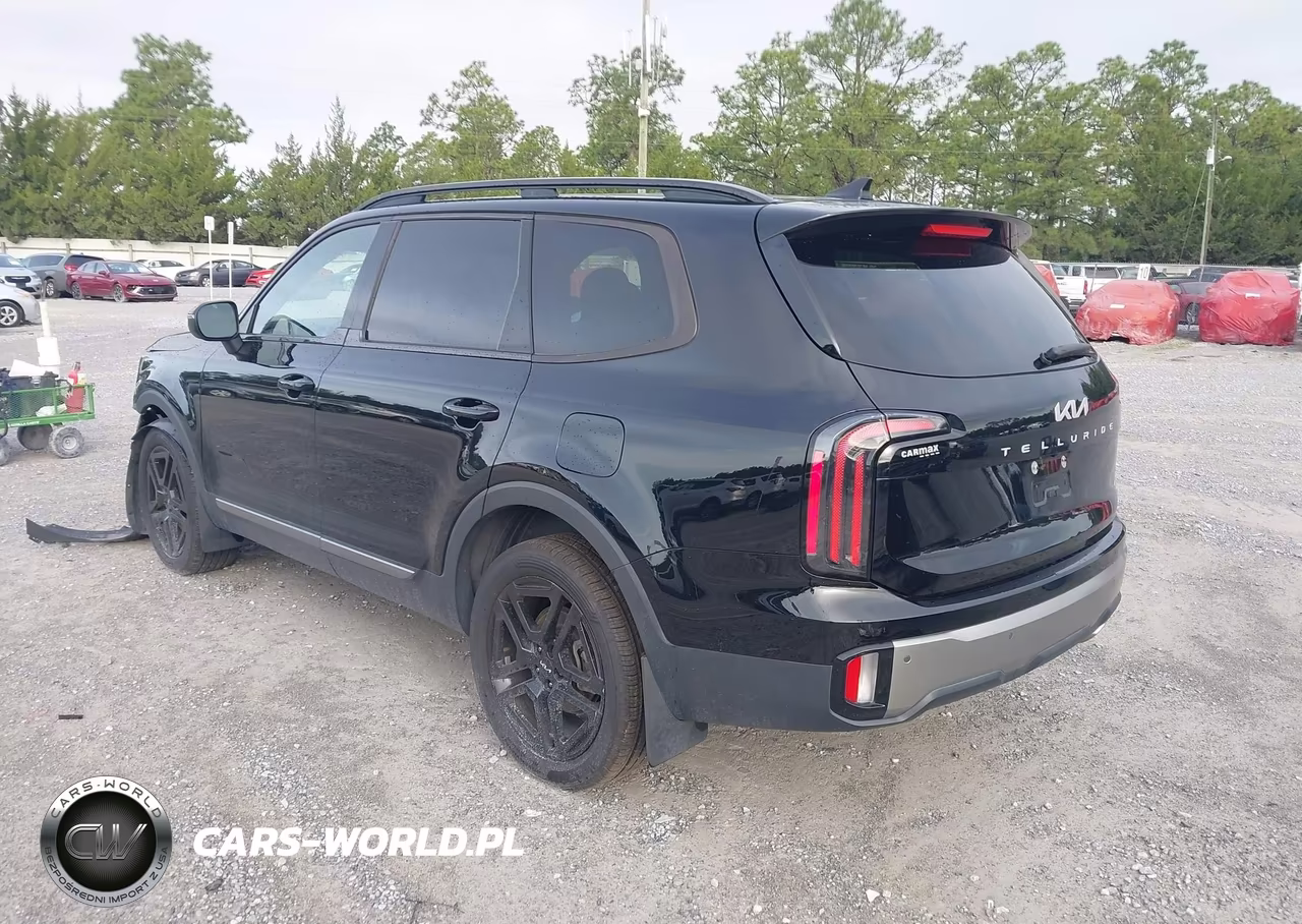 2023 Kia Telluride Ex X-Line VIN:5XYP3DGC8PG330700 - 3