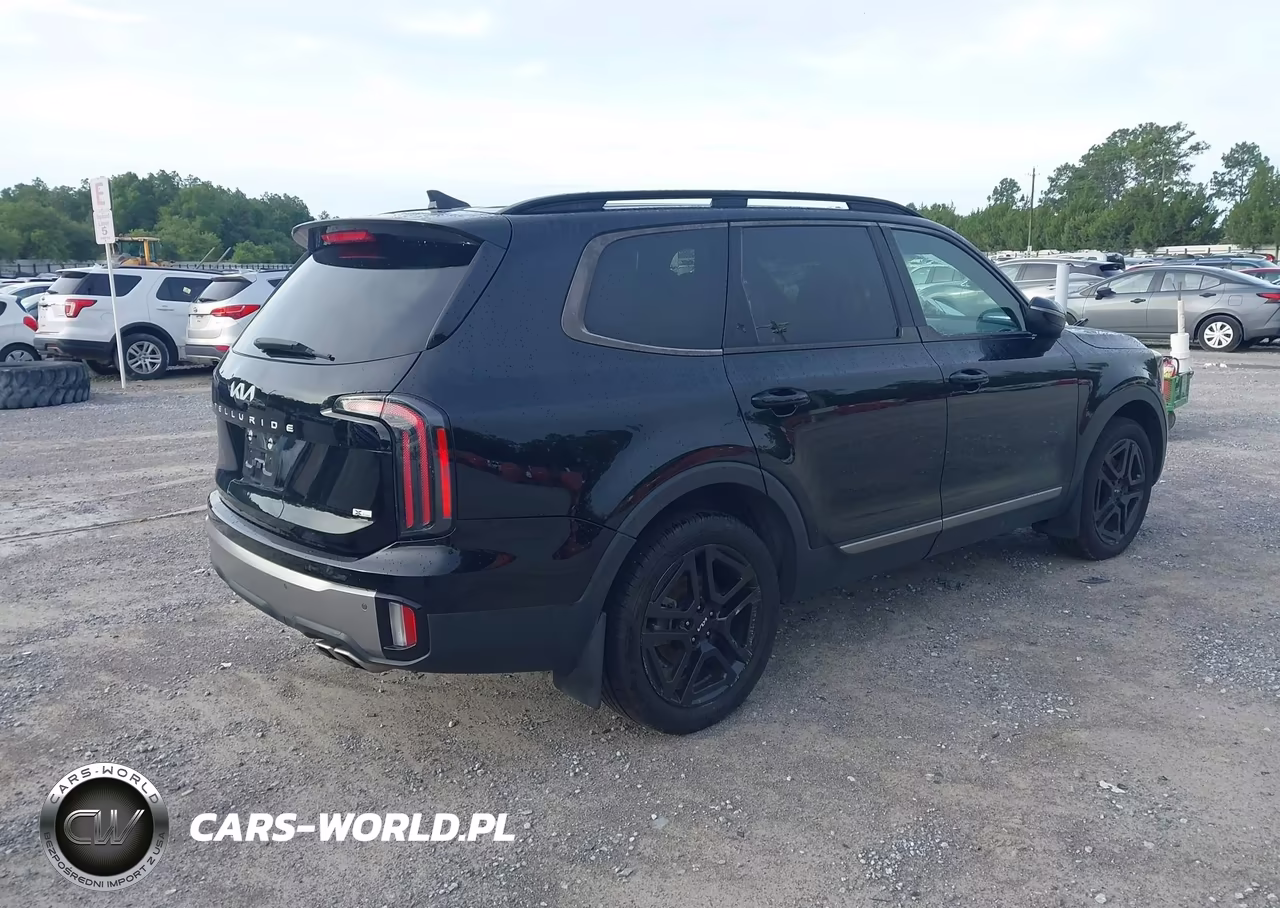 2023 Kia Telluride Ex X-Line VIN:5XYP3DGC8PG330700 - 4