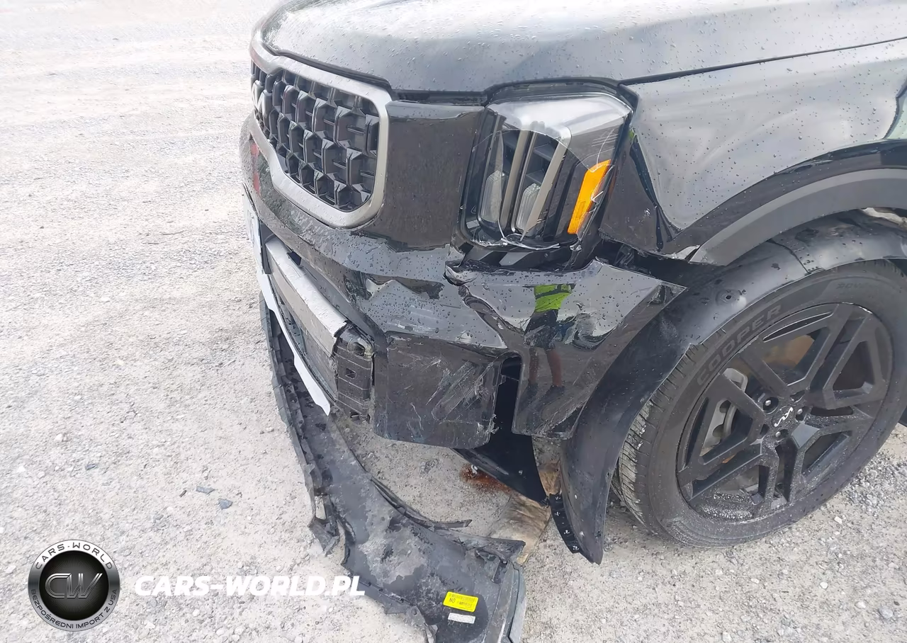 2023 Kia Telluride Ex X-Line VIN:5XYP3DGC8PG330700 - 6