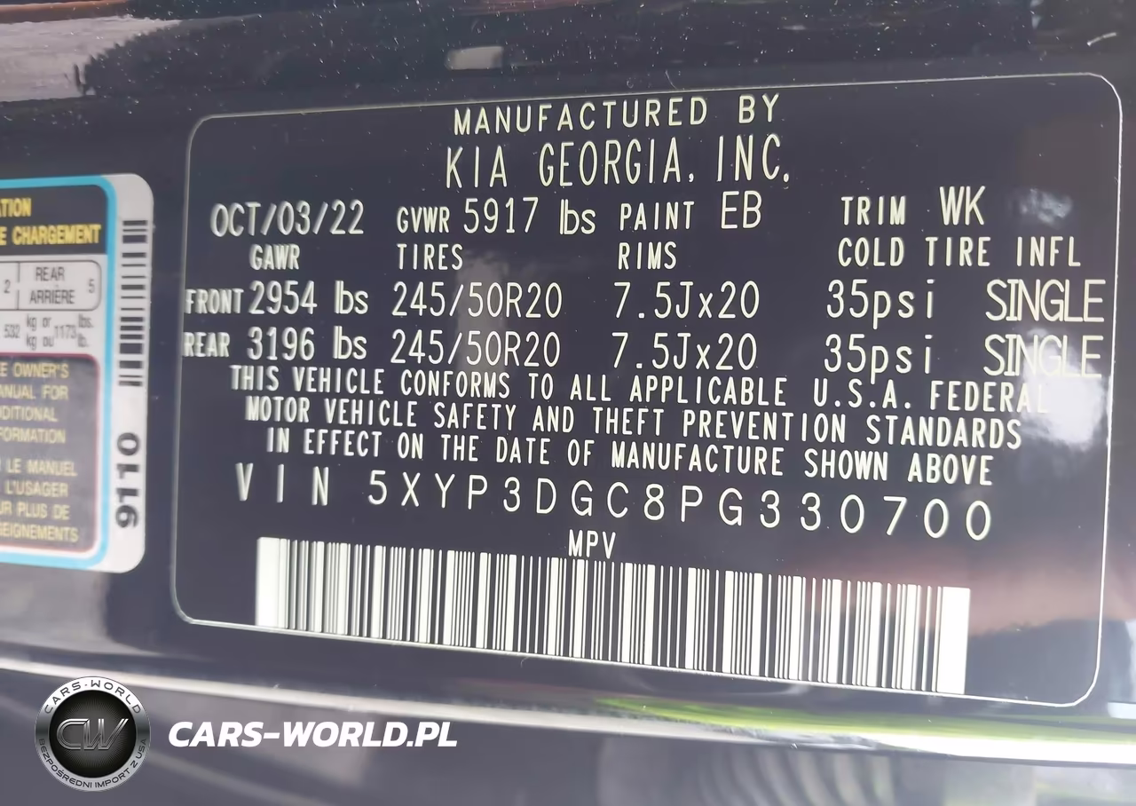 2023 Kia Telluride Ex X-Line VIN:5XYP3DGC8PG330700 - 9