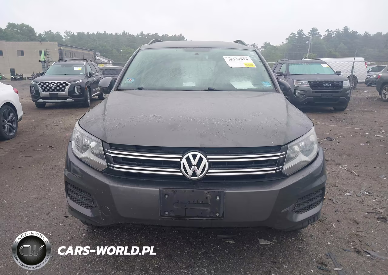 2015 Volkswagen Tiguan S VIN:WVGAV7AX0FW597288 - 12