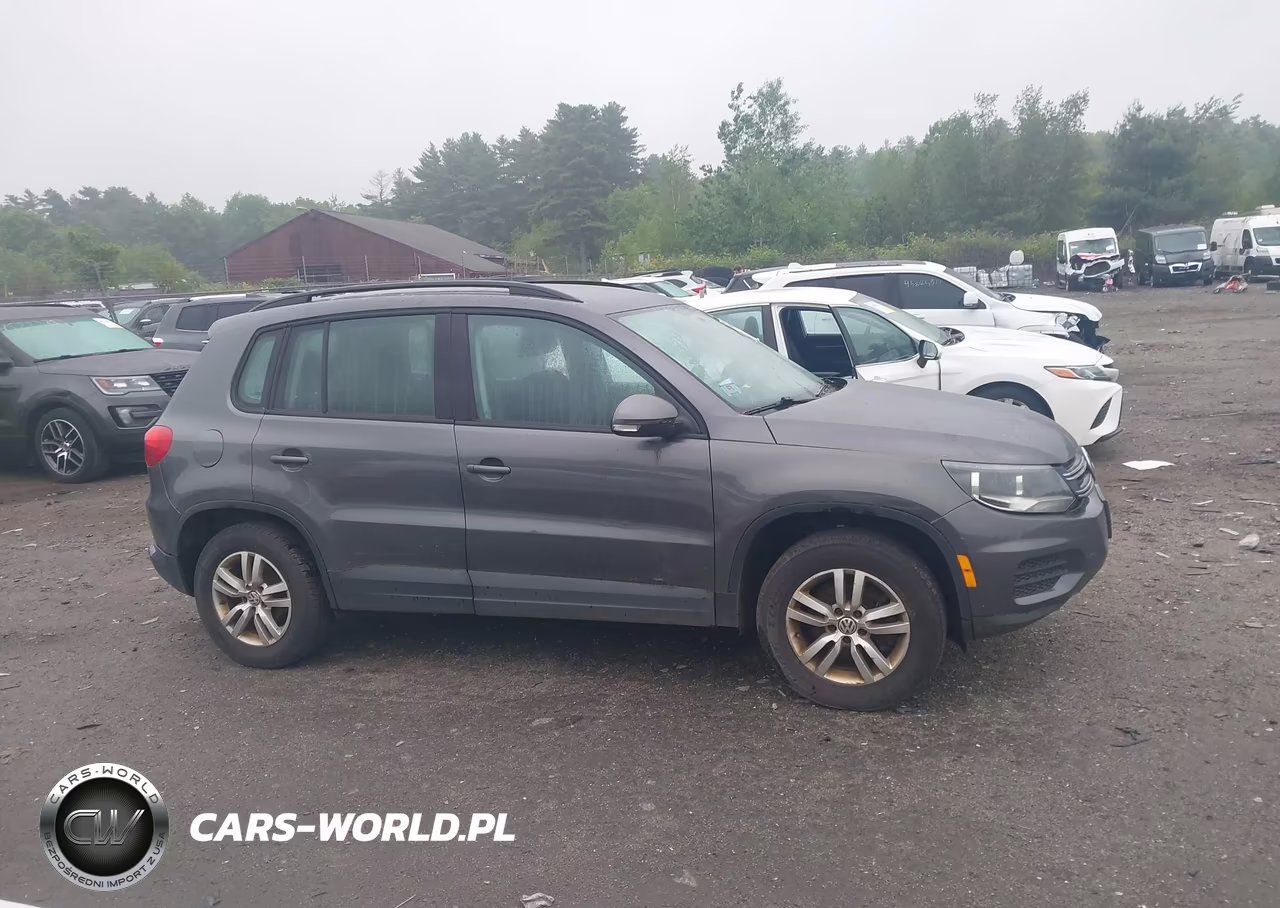2015 Volkswagen Tiguan S VIN:WVGAV7AX0FW597288 - 13
