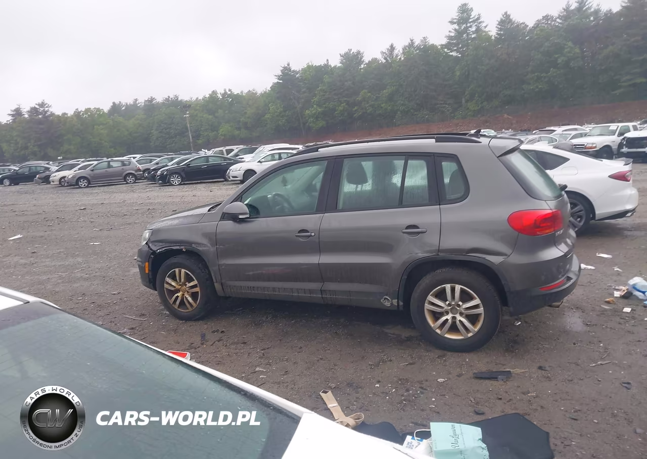 2015 Volkswagen Tiguan S VIN:WVGAV7AX0FW597288 - 14