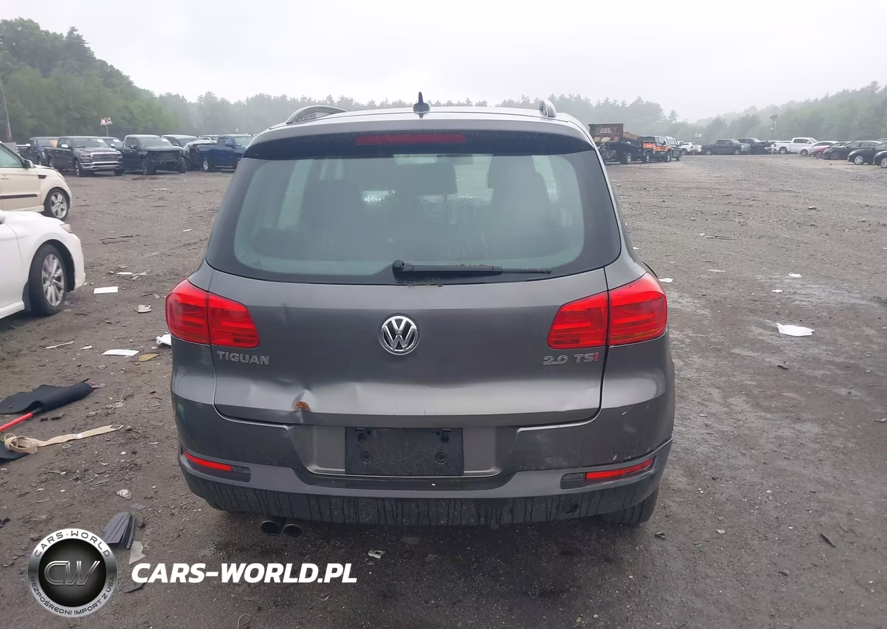 2015 Volkswagen Tiguan S VIN:WVGAV7AX0FW597288 - 16