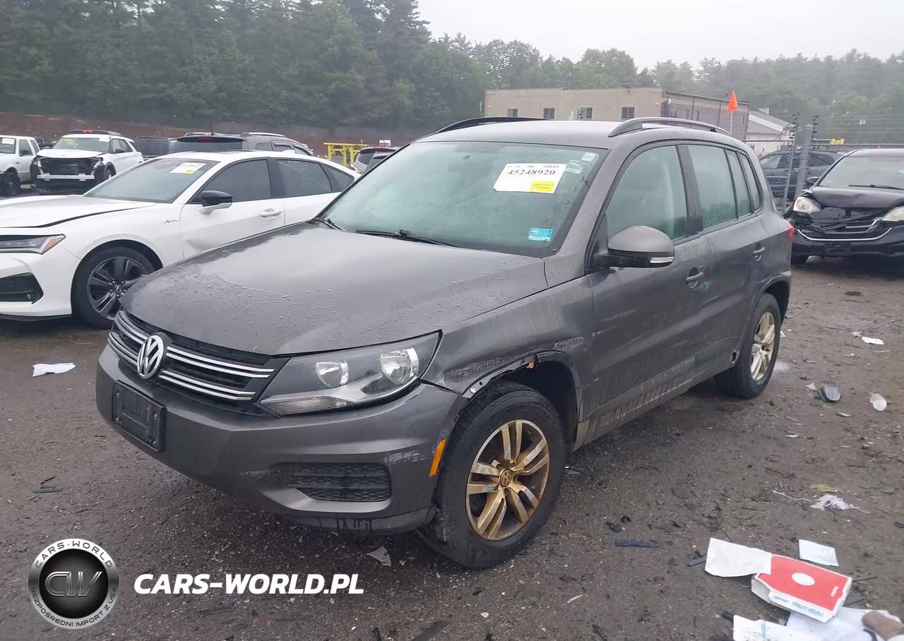 2015 Volkswagen Tiguan S VIN:WVGAV7AX0FW597288 - 2