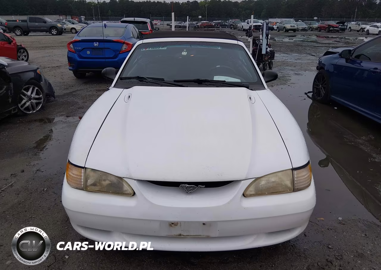 1998 Ford Mustang Gt VIN:1FAFP45X8WF186983 - 12