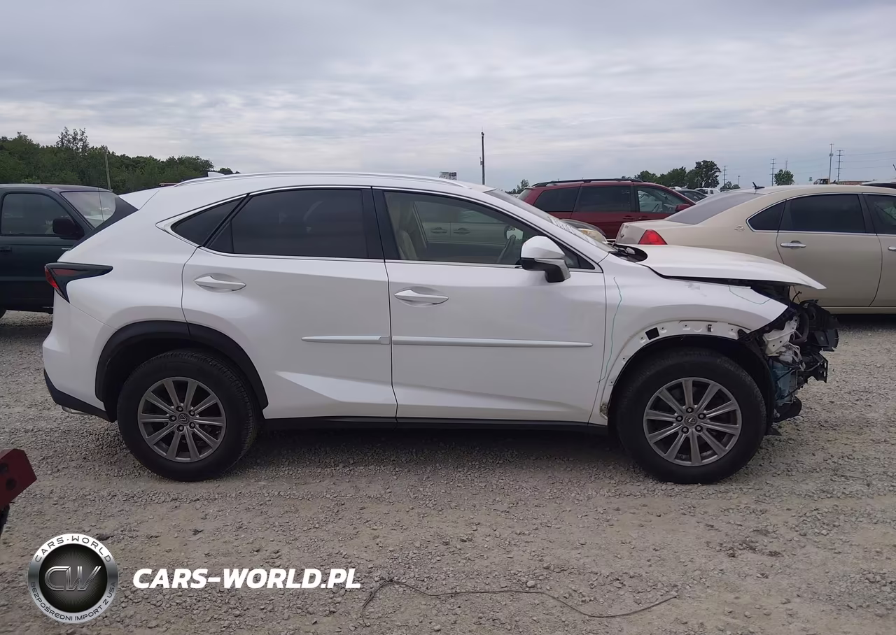 2015 Lexus Nx 200T VIN:JTJYARBZ4F2004157 - 13