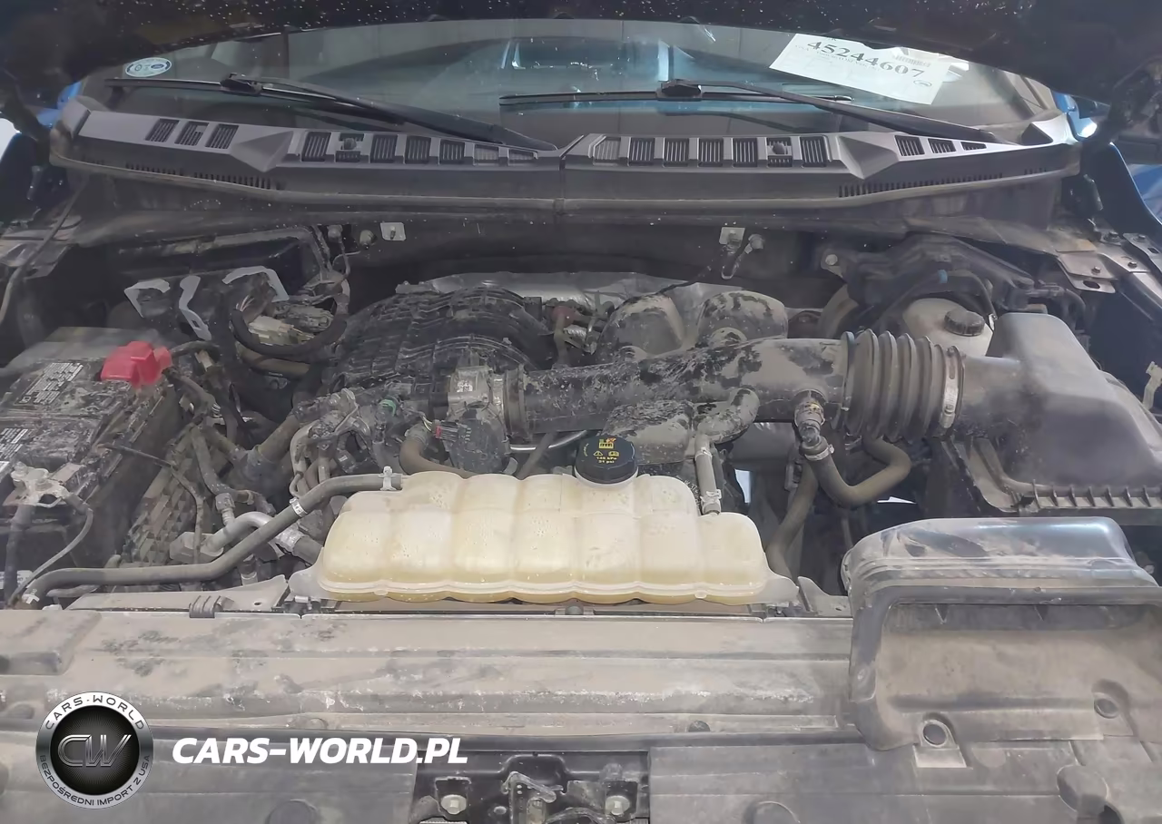 2020 Ford F-150 Xl VIN:1FTEW1EB4LKE67080 - 10