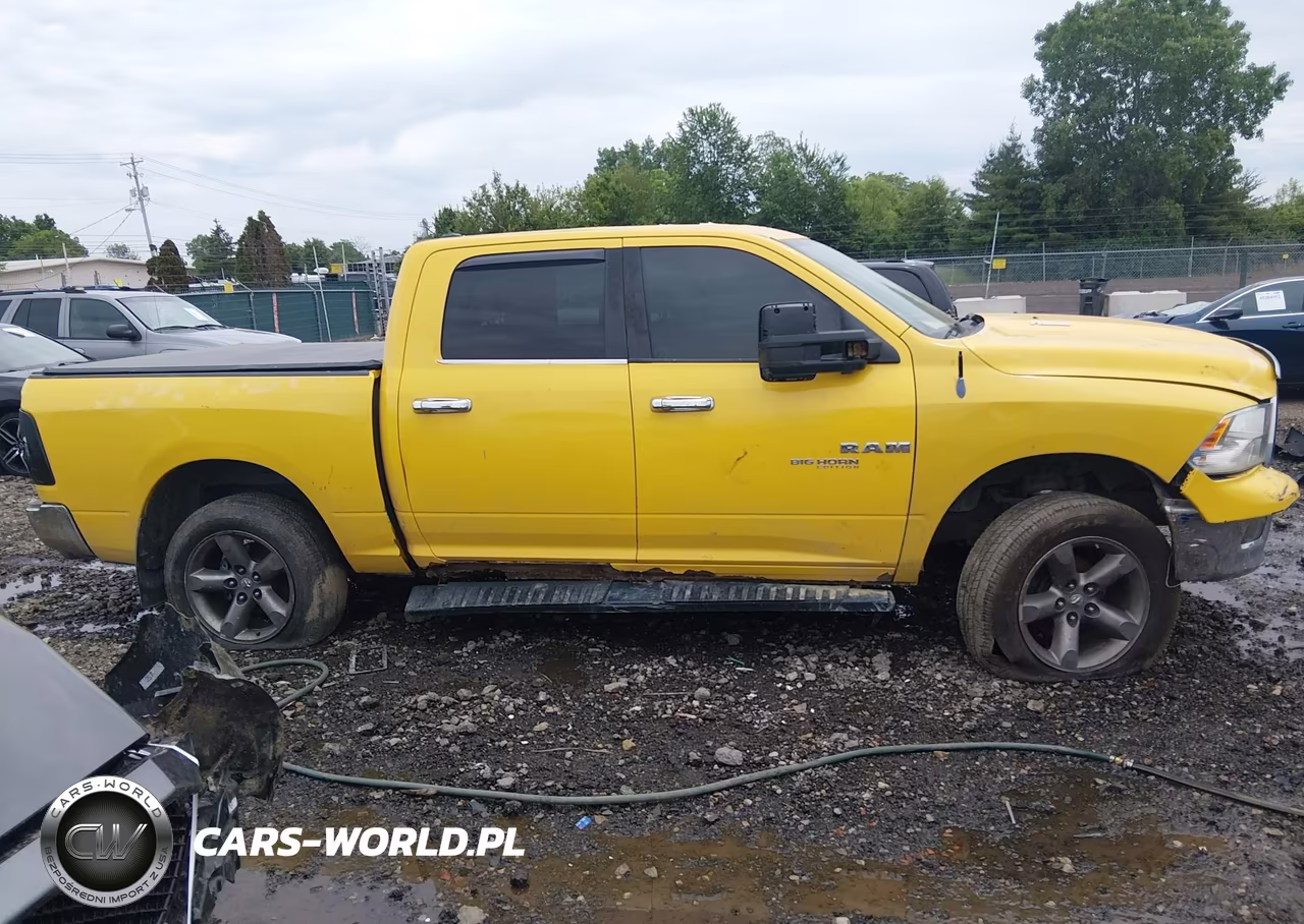 2009 Dodge Ram 1500 Slt-Sport-Trx VIN:1D3HV13T39S740165 - 13