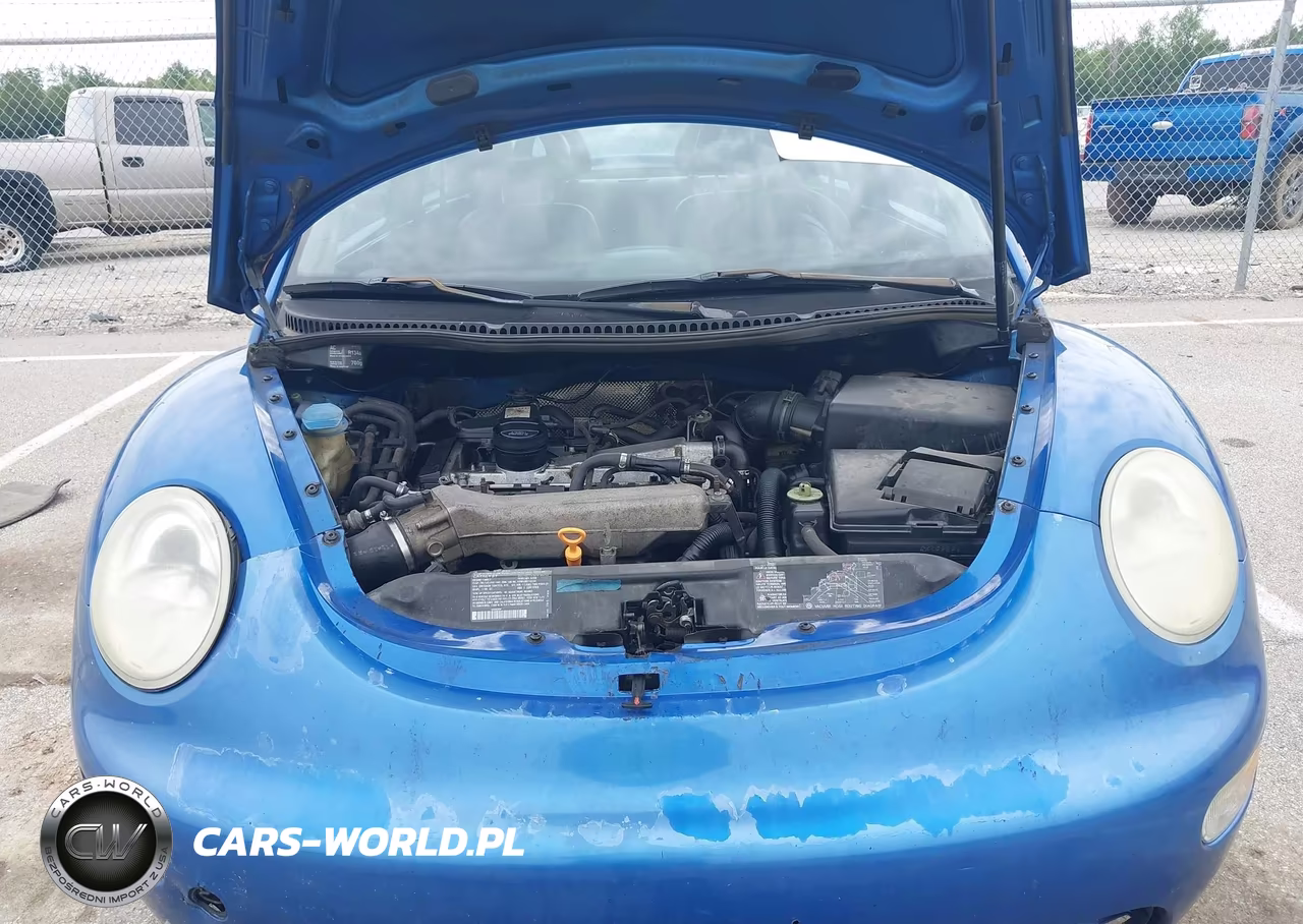 2000 Volkswagen New Beetle Glx VIN:3VWDD21C6YM443964 - 10
