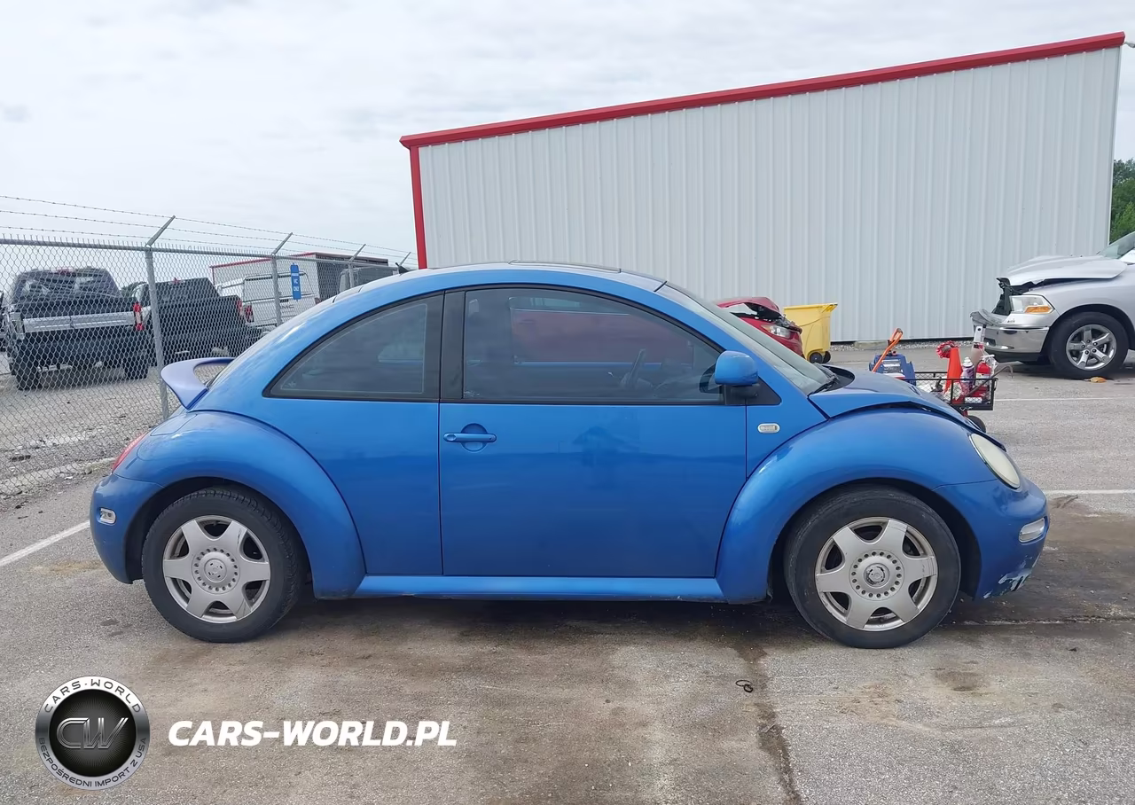 2000 Volkswagen New Beetle Glx VIN:3VWDD21C6YM443964 - 13