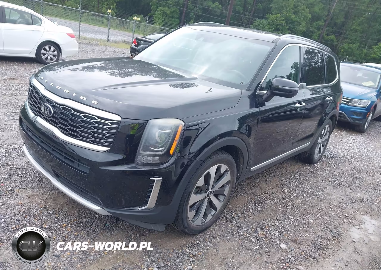 2020 Kia Telluride S VIN:5XYP6DHC6LG009092 - 2