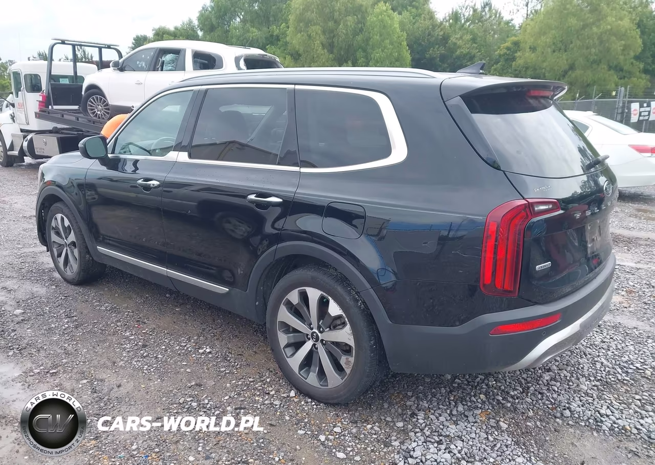2020 Kia Telluride S VIN:5XYP6DHC6LG009092 - 3