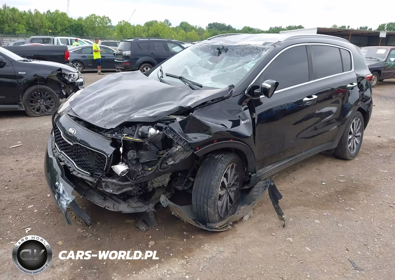 2019 Kia Sportage Ex VIN:KNDPNCAC2K7604007 - 2