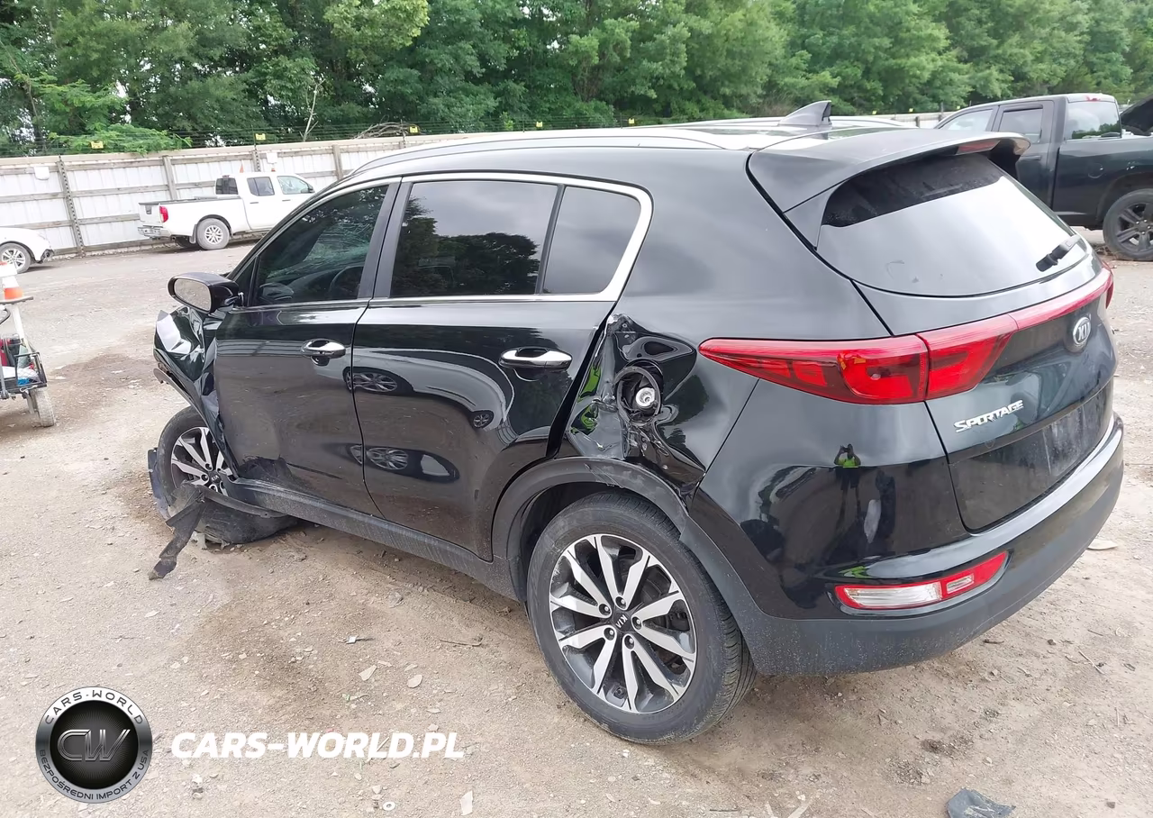 2019 Kia Sportage Ex VIN:KNDPNCAC2K7604007 - 3