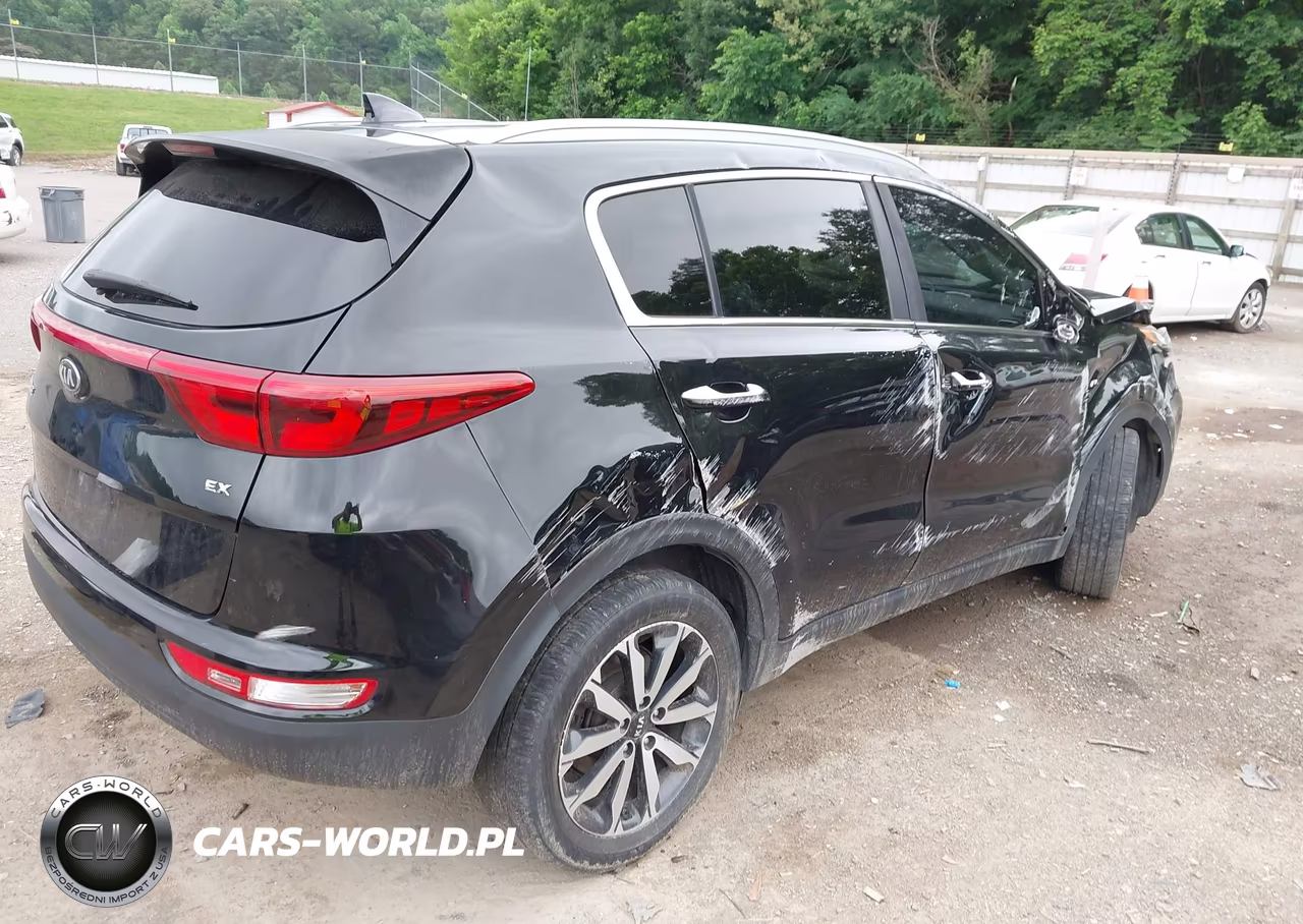 2019 Kia Sportage Ex VIN:KNDPNCAC2K7604007 - 4