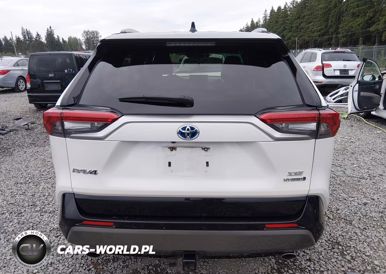 2020 Toyota Rav4 Hybrid Xse VIN:JTMEWRFV4LJ049826 - 17