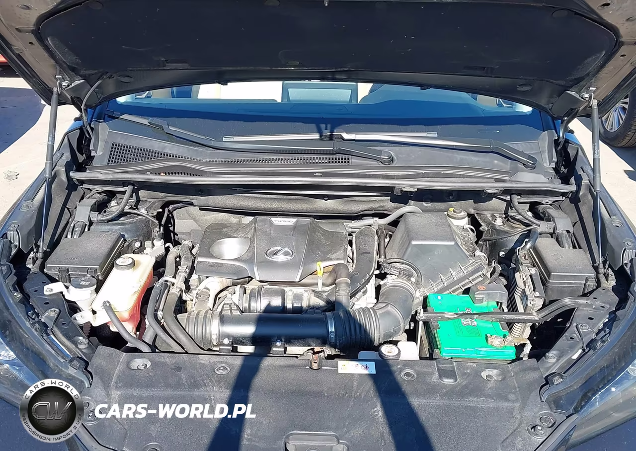2018 Lexus Nx 300 VIN:JTJBARBZ3J2163010 - 10