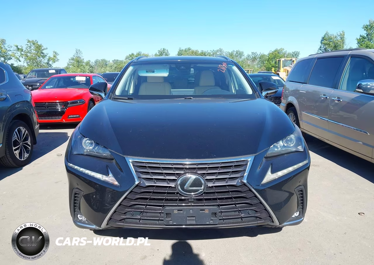 2018 Lexus Nx 300 VIN:JTJBARBZ3J2163010 - 12