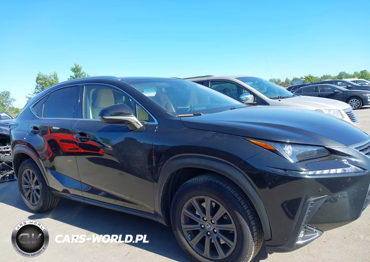 2018 Lexus Nx 300 VIN:JTJBARBZ3J2163010 - 13