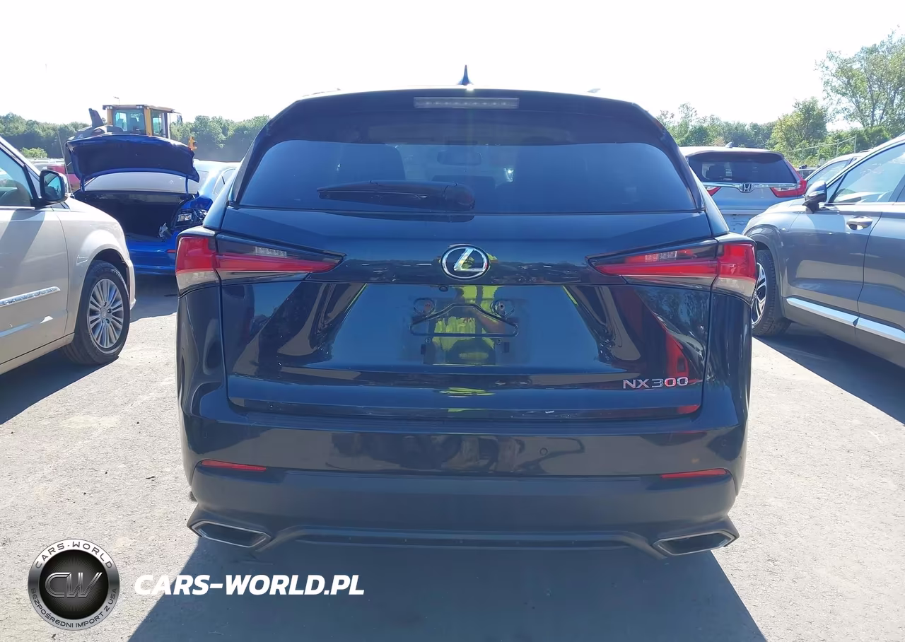 2018 Lexus Nx 300 VIN:JTJBARBZ3J2163010 - 16