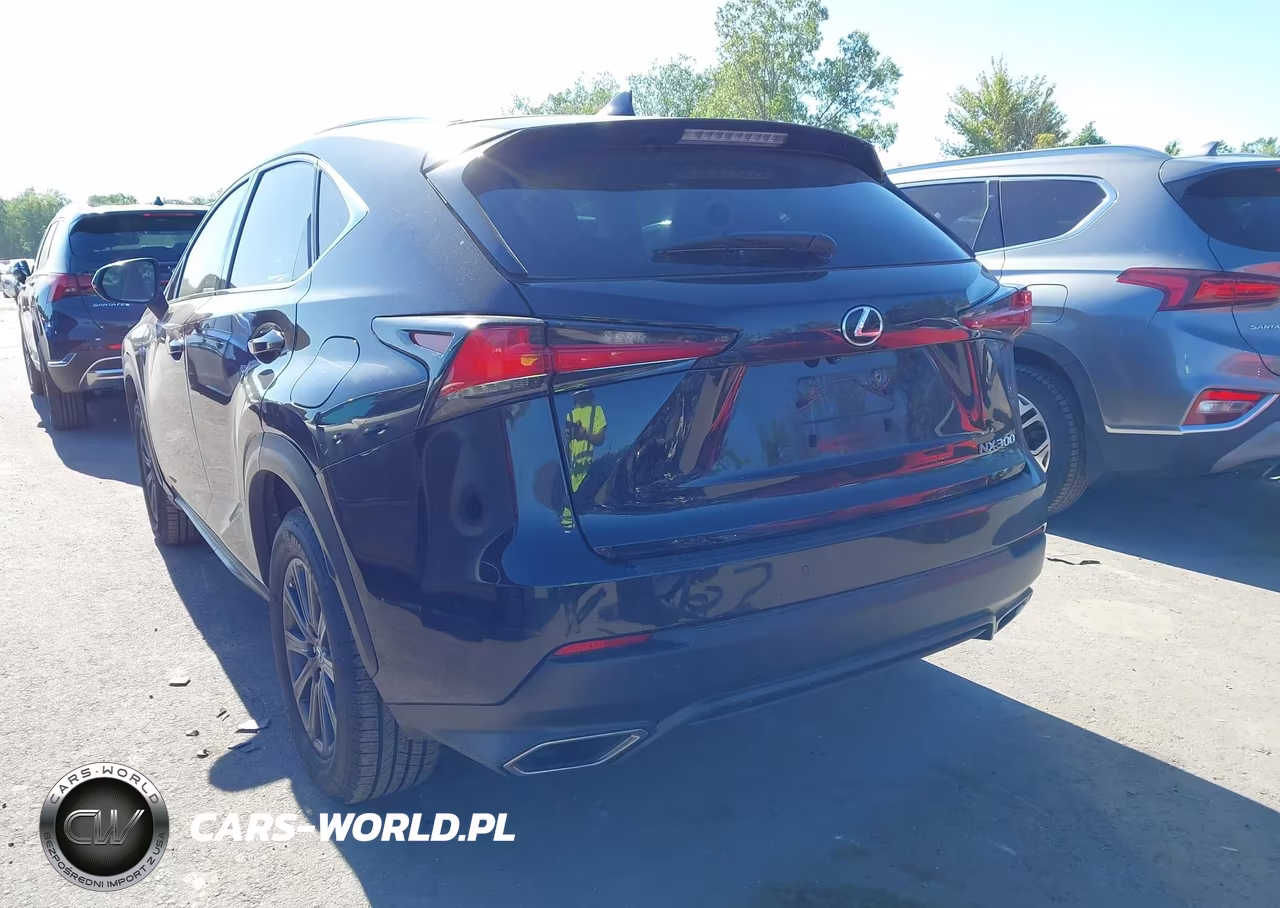 2018 Lexus Nx 300 VIN:JTJBARBZ3J2163010 - 3