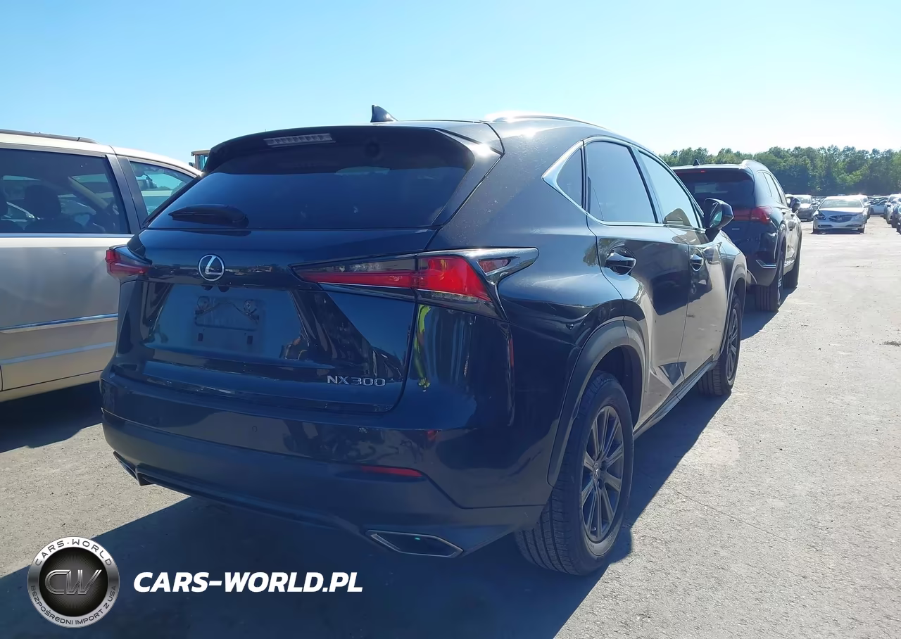 2018 Lexus Nx 300 VIN:JTJBARBZ3J2163010 - 4