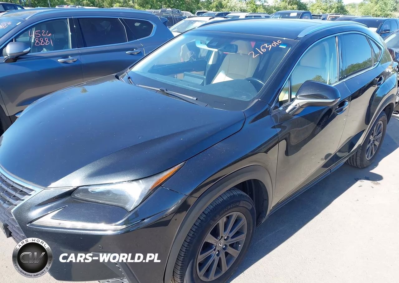 2018 Lexus Nx 300 VIN:JTJBARBZ3J2163010 - 6
