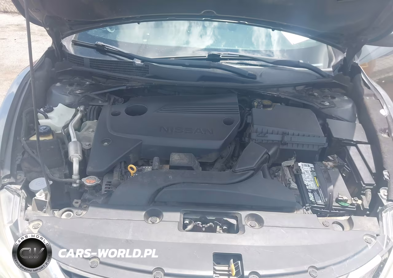 2016 Nissan Altima 2.5 VIN:1N4AL3AP7GC236961 - 10