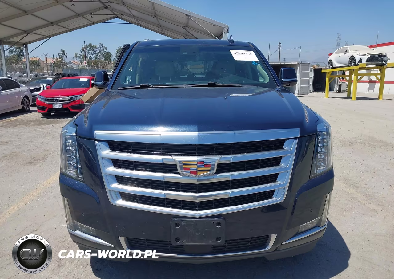 2019 Cadillac Escalade Premium Luxury VIN:1GYS4CKJ2KR103353 - 12