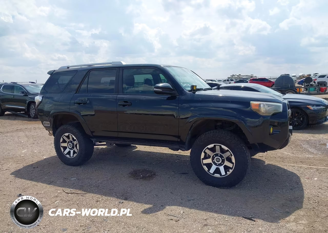 2017 Toyota 4Runner Sr5 Premium VIN:JTEBU5JR0H5407687 - 13