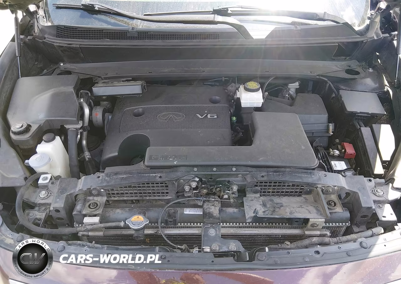 2013 Infiniti Jx35 VIN:5N1AL0MM1DC318069 - 10