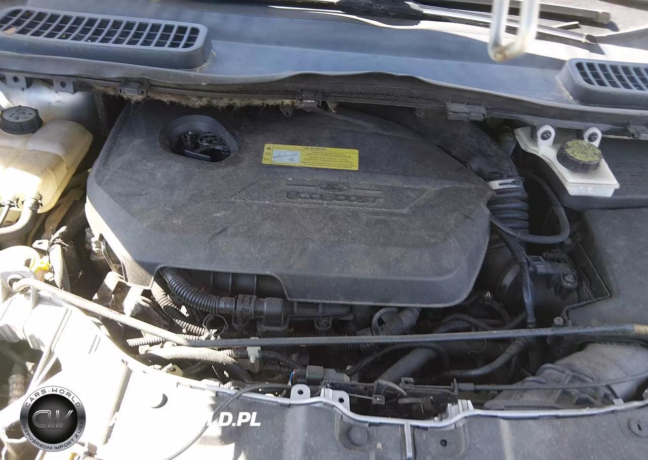 2013 Ford Escape Se VIN:1FMCU0GX6DUC59123 - 10