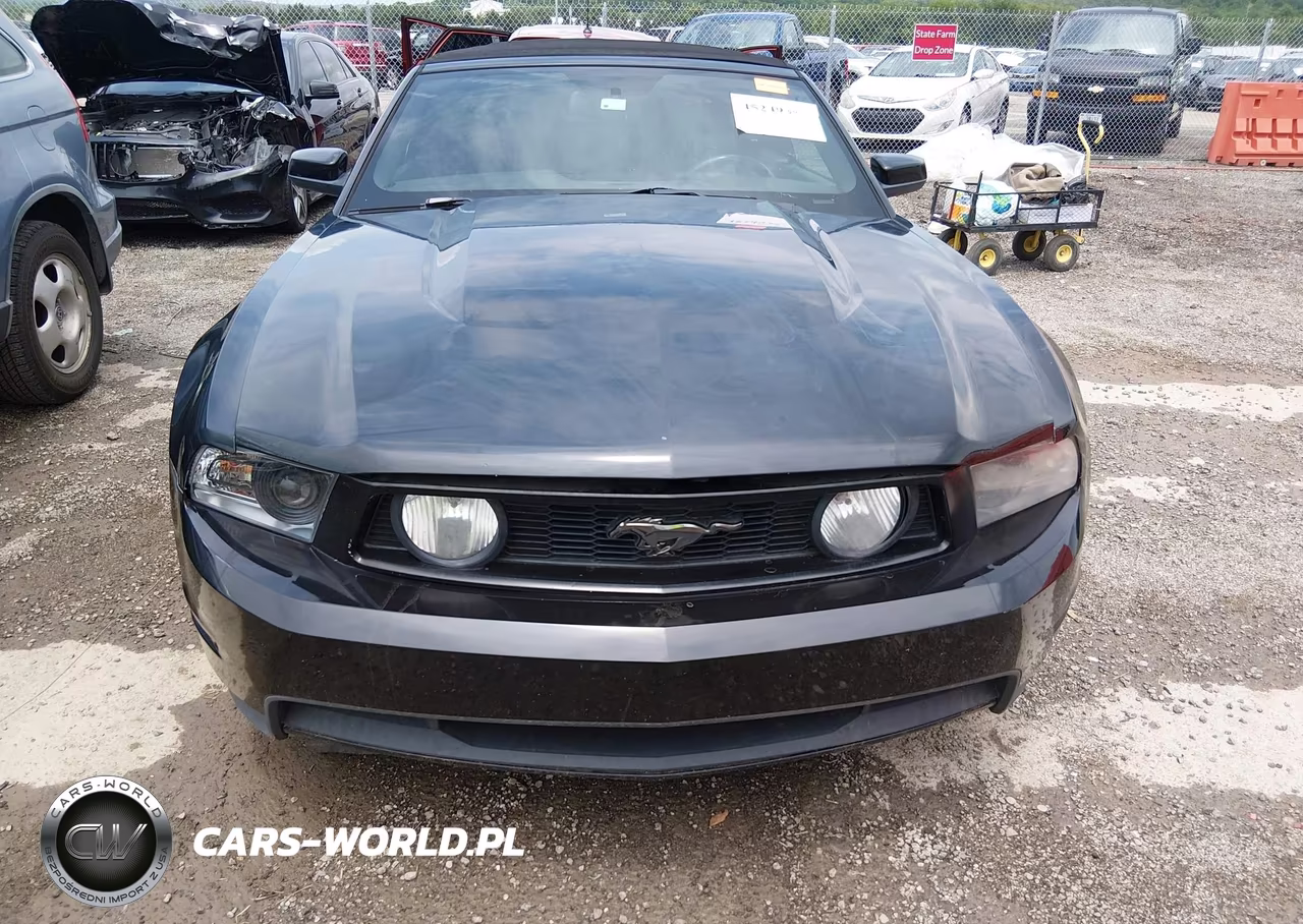 2011 Ford Mustang Gt Premium VIN:1ZVBP8FFXB5108644 - 12