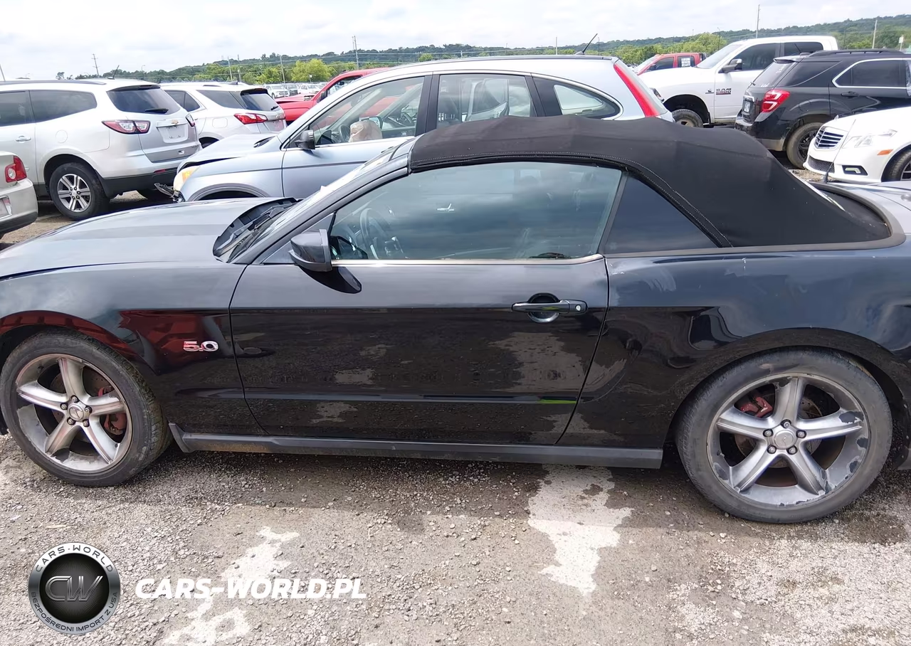 2011 Ford Mustang Gt Premium VIN:1ZVBP8FFXB5108644 - 14