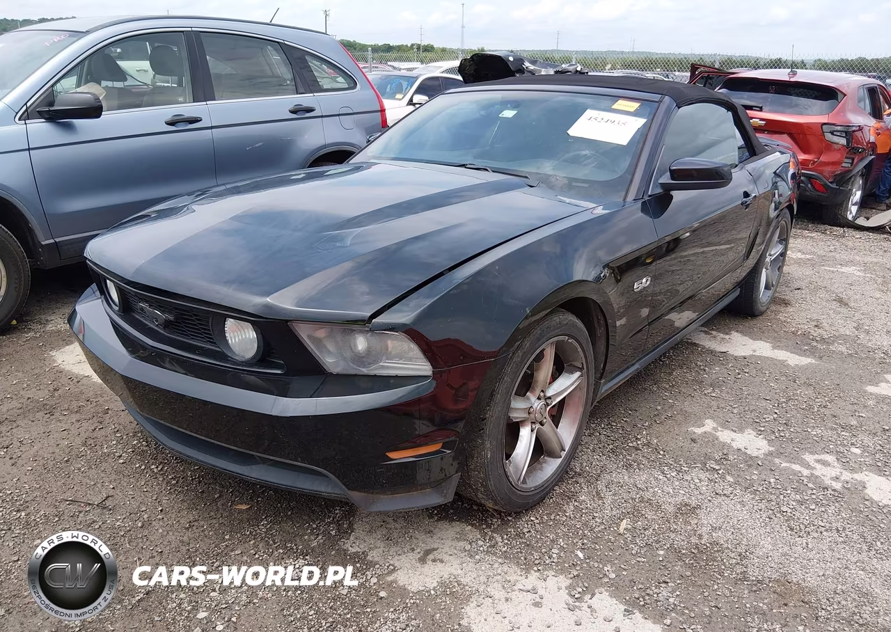 2011 Ford Mustang Gt Premium VIN:1ZVBP8FFXB5108644 - 2