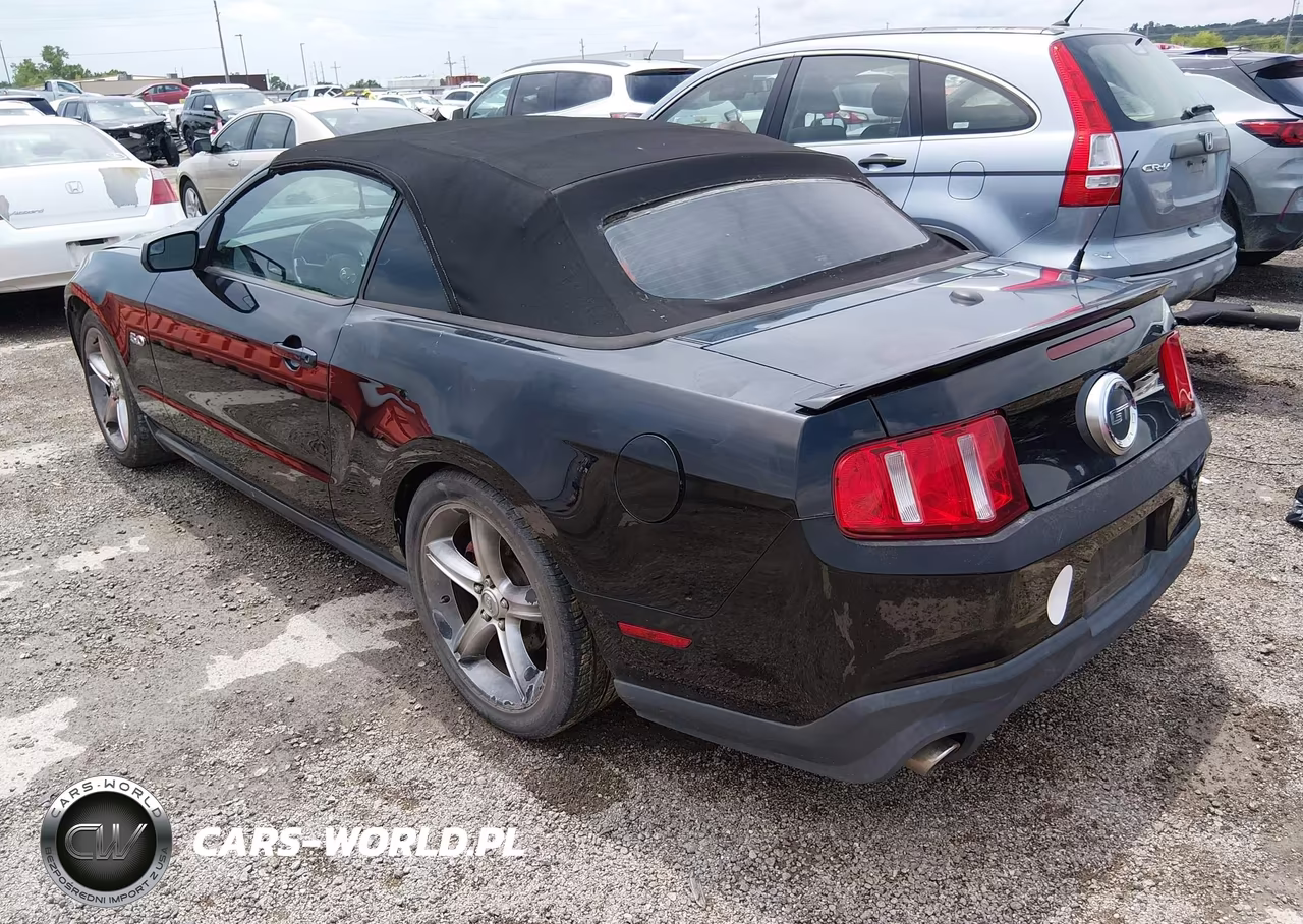 2011 Ford Mustang Gt Premium VIN:1ZVBP8FFXB5108644 - 3